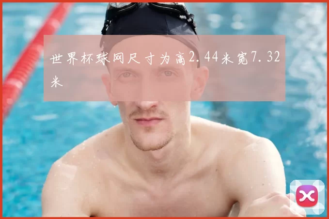世界杯球网尺寸为高2.44米宽7.32米