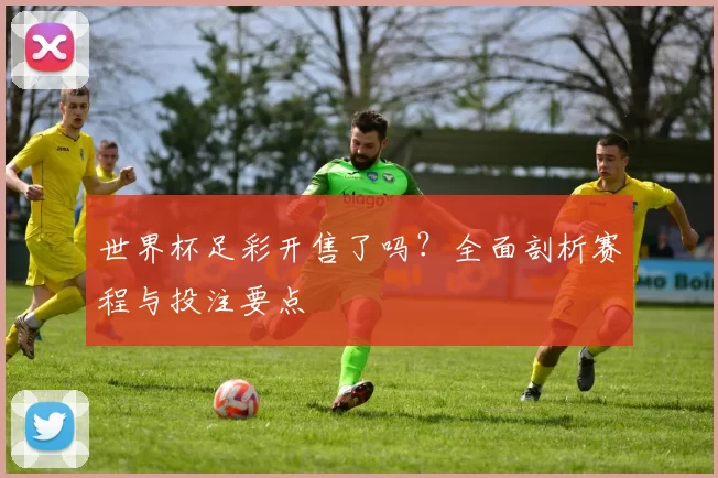 世界杯足彩开售了吗?全面剖析赛程与投注要点
