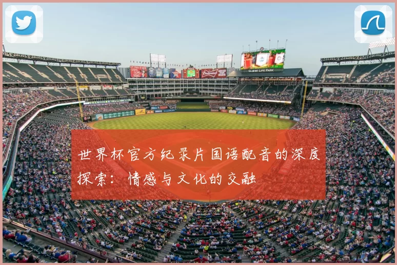世界杯官方纪录片国语配音的深度探索:情感与文化的交融