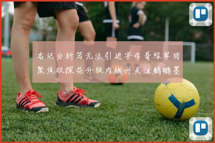 名记分析若无法引进字母哥绿军将聚焦双探花升级内线并关注鹈鹕墨菲