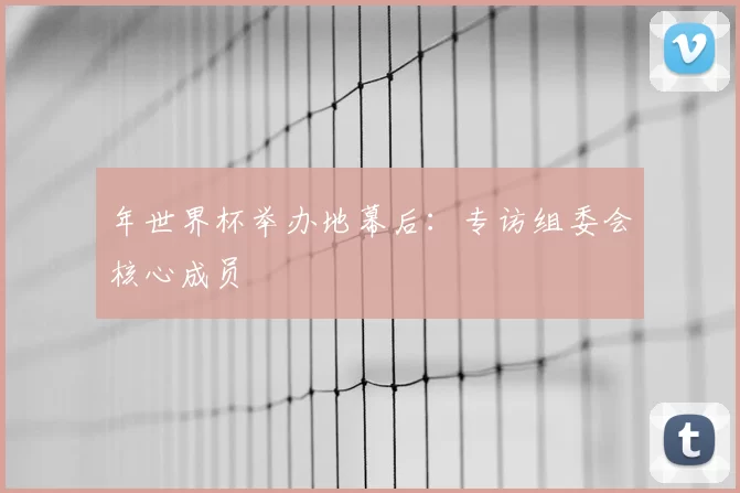 年世界杯举办地幕后:专访组委会核心成员
