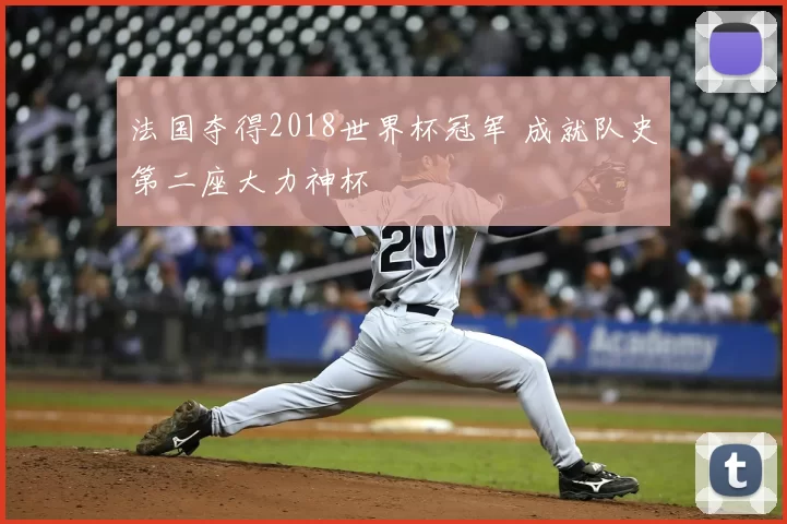 法国夺得2018世界杯冠军 成就队史第二座大力神杯