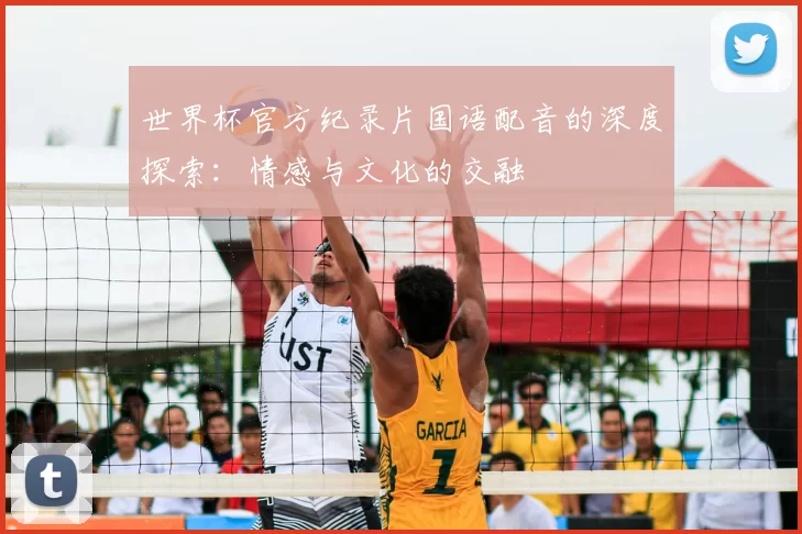 世界杯官方纪录片国语配音的深度探索：情感与文化的交融