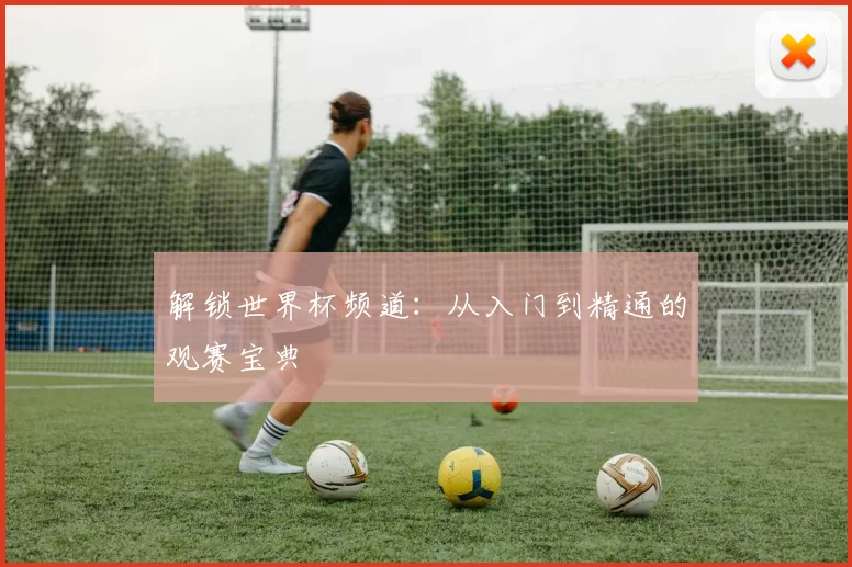 解锁世界杯频道：从入门到精通的观赛宝典