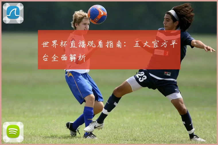 世界杯直播观看指南：五大官方平台全面解析