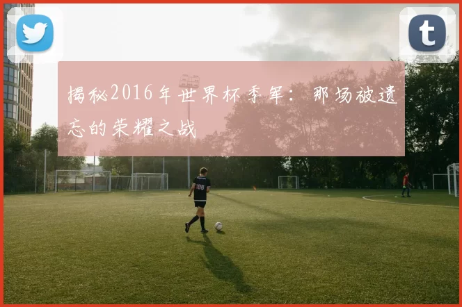 揭秘2016年世界杯季军：那场被遗忘的荣耀之战