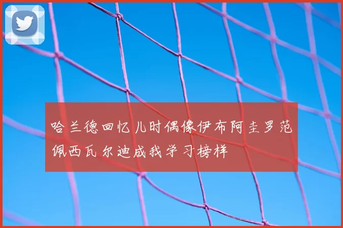 哈兰德回忆儿时偶像伊布阿圭罗范佩西瓦尔迪成我学习榜样