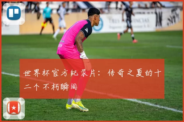 世界杯官方纪录片：传奇之夏的十二个不朽瞬间