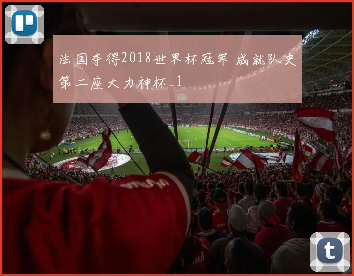 法国夺得2018世界杯冠军 成就队史第二座大力神杯_1